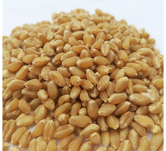 å±±è¾²(nÃ³ng)102-è¯çš–ç¨®æ¥­(yÃ¨)