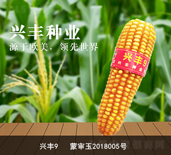 èˆˆè±9-èˆˆè±ç¨®æ¥­(yÃ¨)