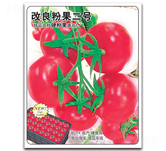 改良粉果二號-番茄種子-飛歌農業(yè)
