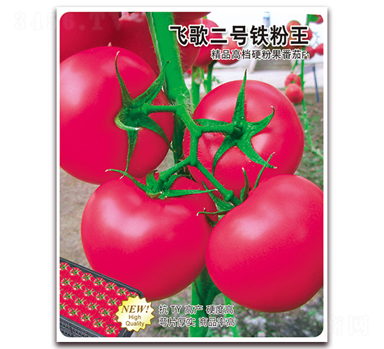 飛歌二號鐵粉王-番茄種子-飛歌農業(yè)
