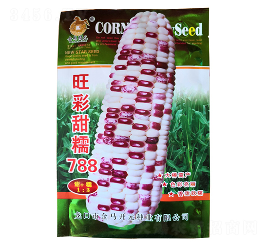 旺彩甜糯788-甜糯玉米種子-金馬開元