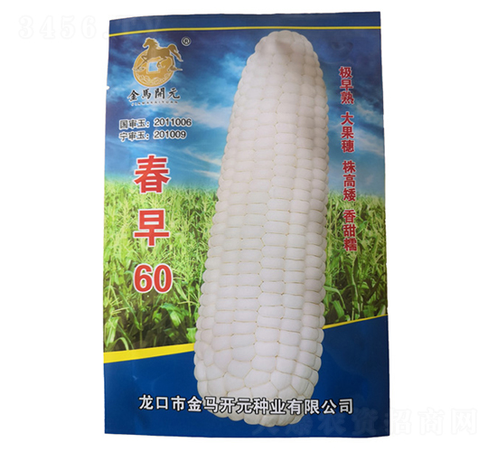 春早60-白糯玉米種子-金馬開(kāi)元
