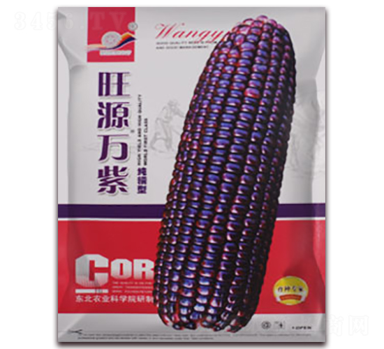 旺源萬(wàn)紫-黑糯玉米種子-金馬開(kāi)元