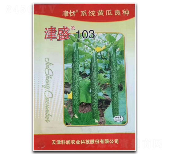 津盛103-黃瓜種子-凌廣農業(yè)