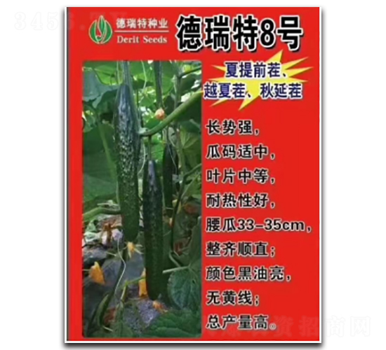 德瑞特8號(hào)-黃瓜種子-凌廣農(nóng)業(yè)