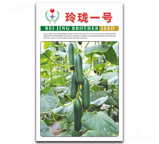 çŽ²ç“ä¸€è™Ÿ-é»ƒç“œç¨®å­-å…„å¼Ÿ