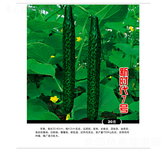新時(shí)代7號(hào)-黃瓜種子-農(nóng)百萬(wàn)