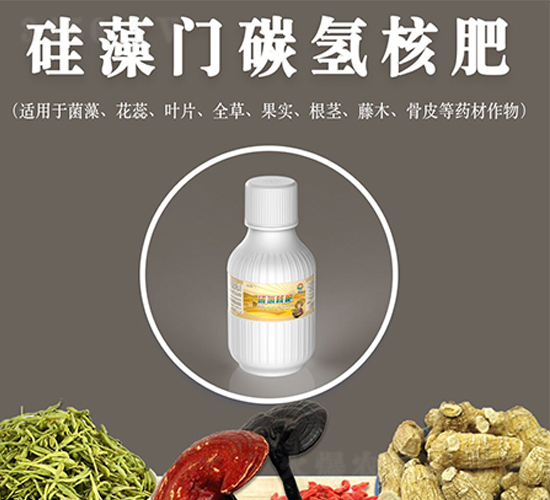 硅藻門(mén)碳?xì)浜朔?煦豐
