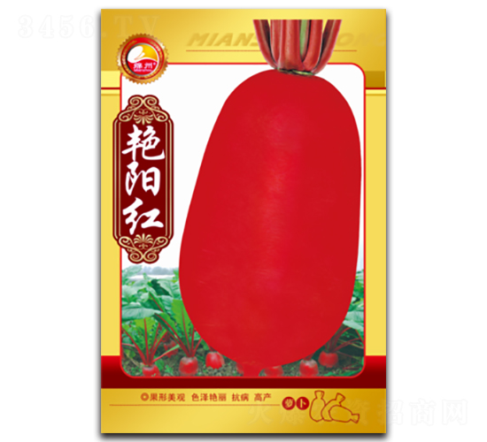 艷陽紅-蘿卜種子-綿蔬種業(yè)