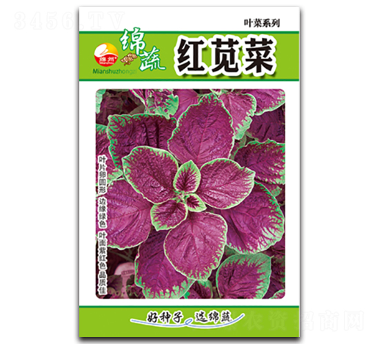 ç´…èŽ§èœ-ç´…èŽ§èœç¨®å­-ç¶¿è”¬ç¨®æ¥­(yÃ¨)
