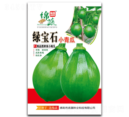 ç¶ å¯¶çŸ³-å—ç“œç¨®å­-ç¶¿è”¬ç¨®æ¥­(yÃ¨)