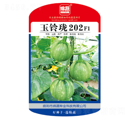 玉鈴瓏202-南瓜種子-綿蔬種業(yè)