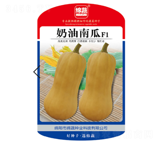 奶油南瓜-南瓜種子-綿蔬種業(yè)