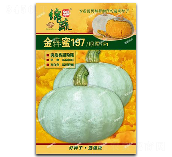 金犇蜜197-南瓜種子-綿蔬種業(yè)
