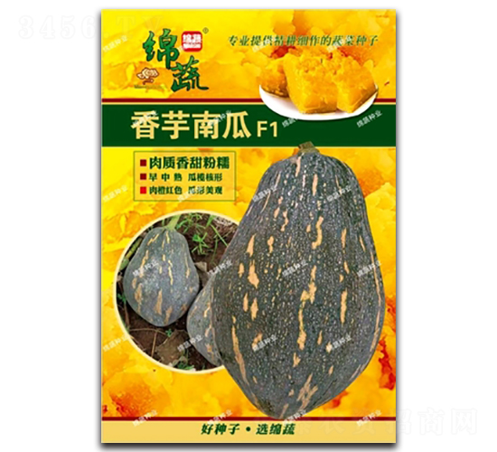 香芋南瓜-南瓜種子-綿蔬種業(yè)