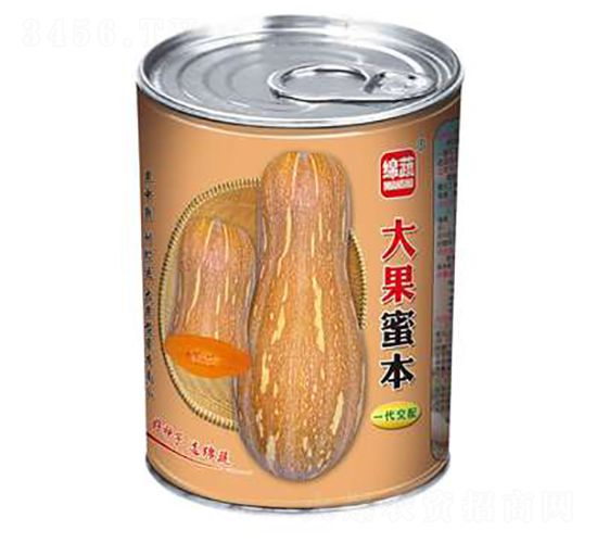 大果蜜本-南瓜種子-綿蔬種業(yè)