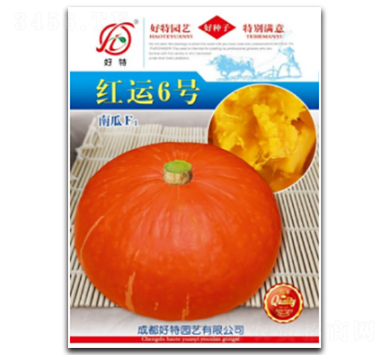 紅運(yùn)6號(hào)-南瓜種子-好特園藝