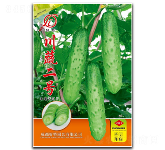 川蔬二號(hào)-黃瓜種子-好特園藝