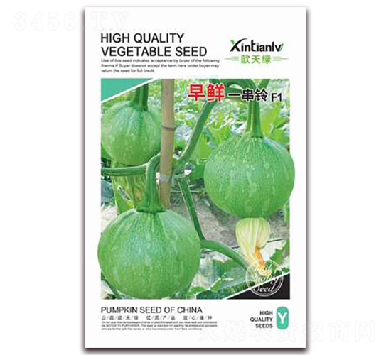 早鮮一串鈴-南瓜種子-歆天綠