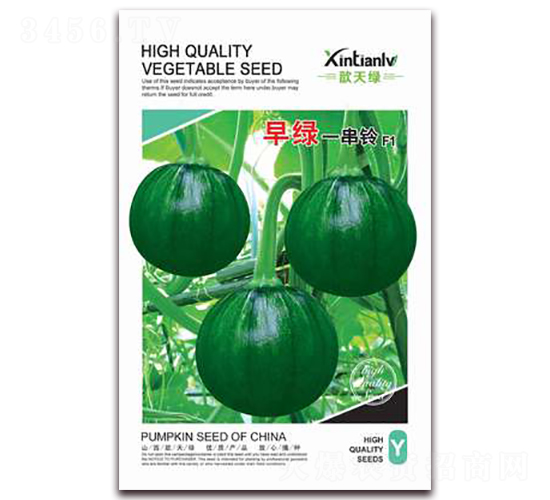 早綠一串鈴-南瓜種子-歆天綠
