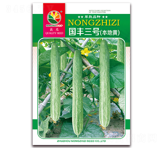 國豐三號-黃瓜種子-農之子