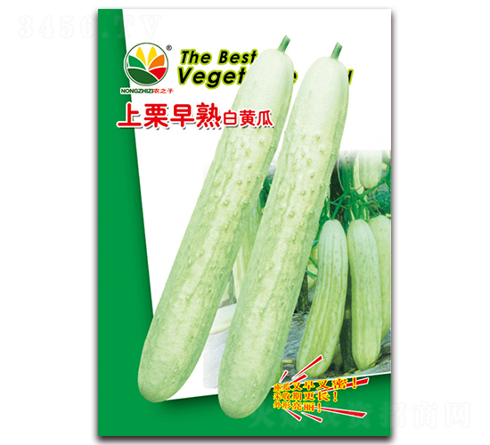 上栗早熟白黃瓜-白黃瓜種子-農(nóng)之子