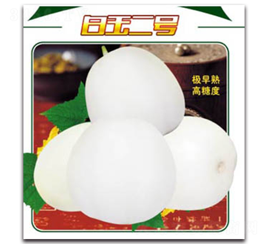 白玉二號-甜瓜種子-德信盈農(nóng)業(yè)
