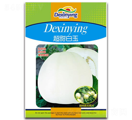 白玉-甜瓜種子-德信盈農(nóng)業(yè)