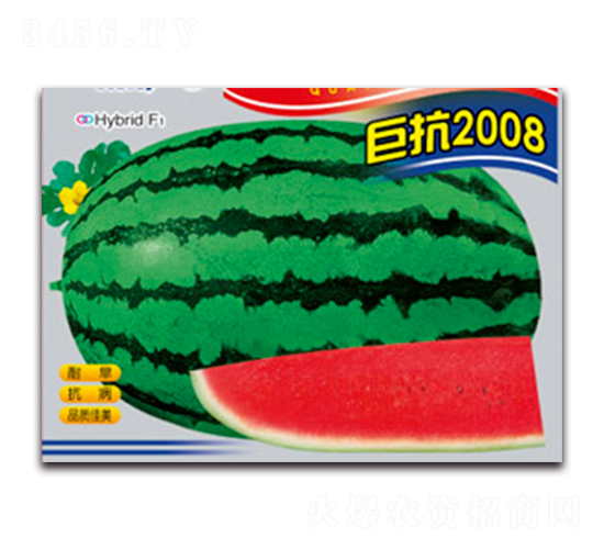 巨抗2008-西瓜種子-德信盈農(nóng)業(yè)