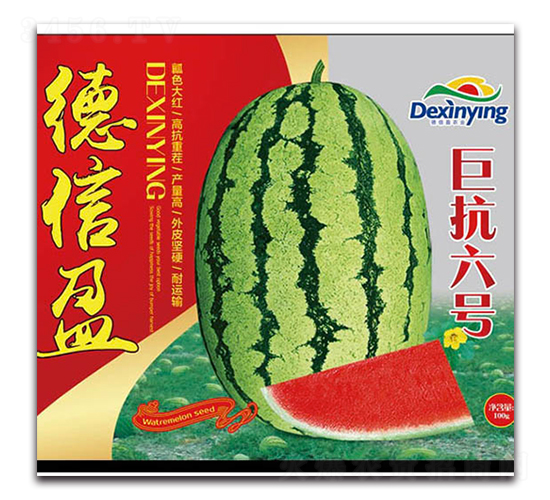 巨抗六號(hào)-西瓜種子-德信盈農(nóng)業(yè)