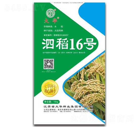 泗稻16號(hào)-水稻種子-大華種業(yè)
