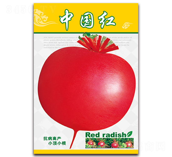 中國(guó)紅-蘿卜種子-天星種業(yè)