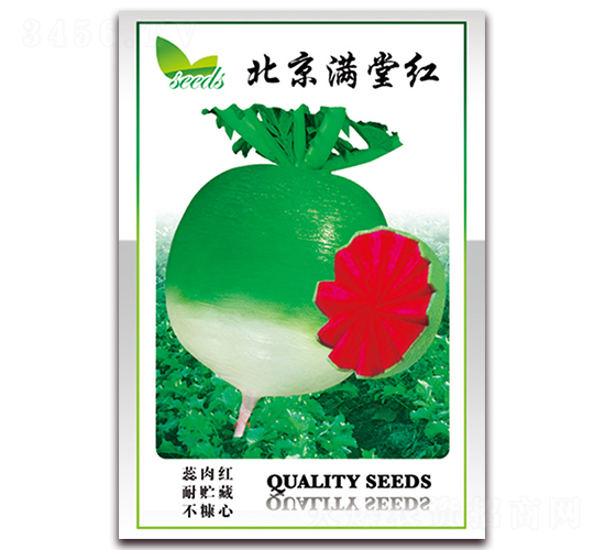 北京滿堂紅-蘿卜種子-天星種業(yè)