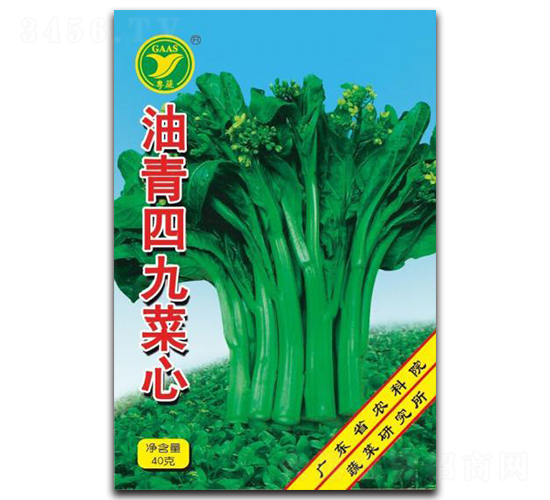 æ²¹é’å››ä¹èœå¿ƒ-èœå¿ƒç¨®å­-ç§‘è¾²(nÃ³ng)
