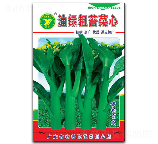 油綠粗苔菜心-菜心種子-科農(nóng)