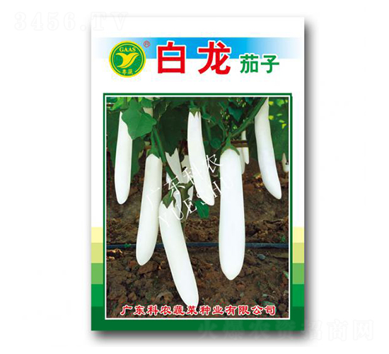 白龍-茄子種子-科農(nóng)