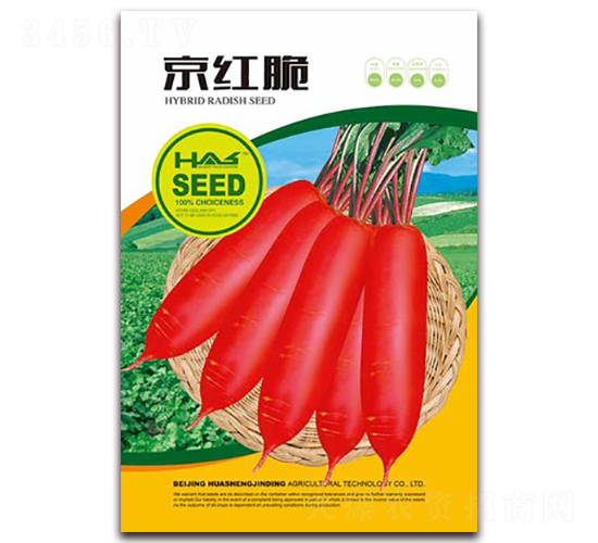京紅脆蘿卜-蘿卜種子-鑫博大