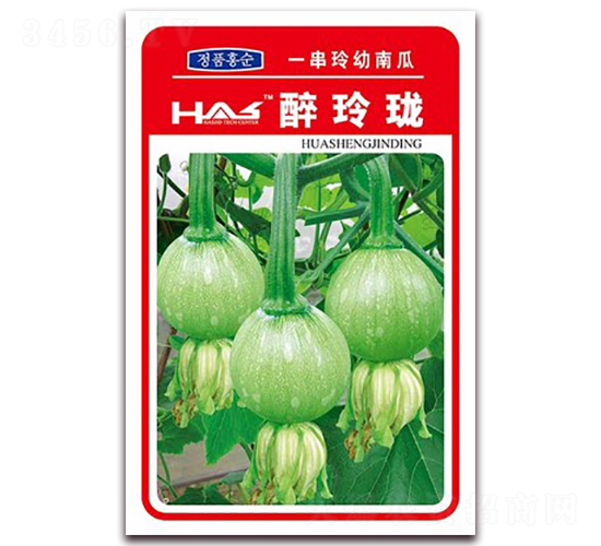 é†‰çŽ²ç“-å—ç“œç¨®å­-é‘«åšå¤§