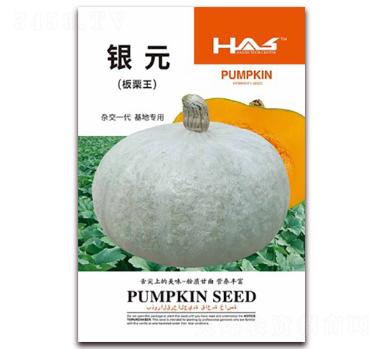 銀元-南瓜種子-鑫博大