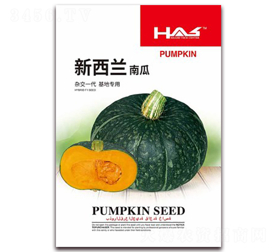 新西蘭南瓜-南瓜種子-鑫博大
