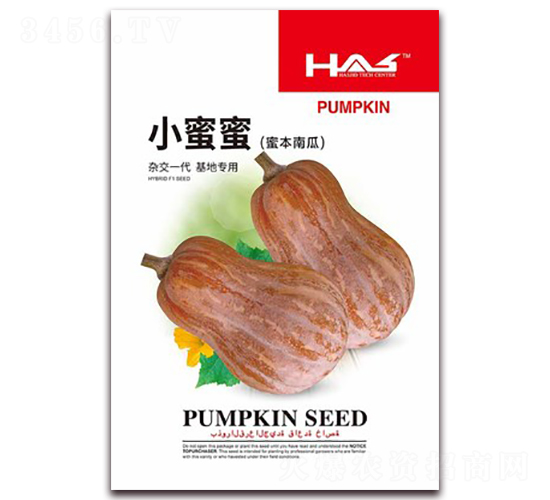 小蜜蜜-南瓜種子-鑫博大