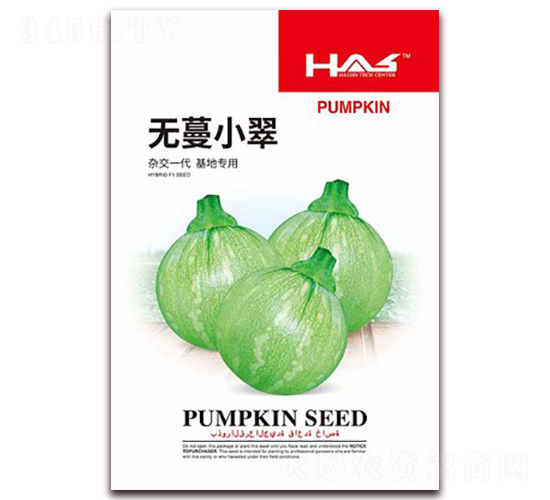 無蔓小翠-南瓜種子-鑫博大