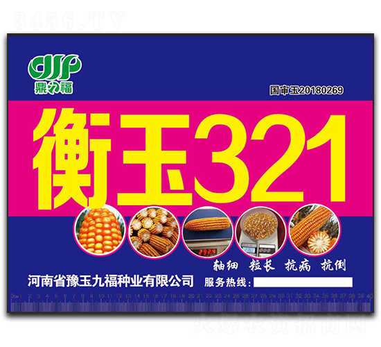 衡玉321-玉米種子-九福種業(yè)