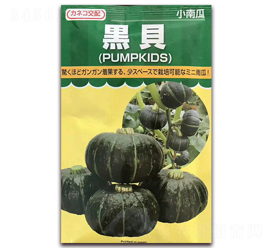 黑貝-南瓜種子-百斯特