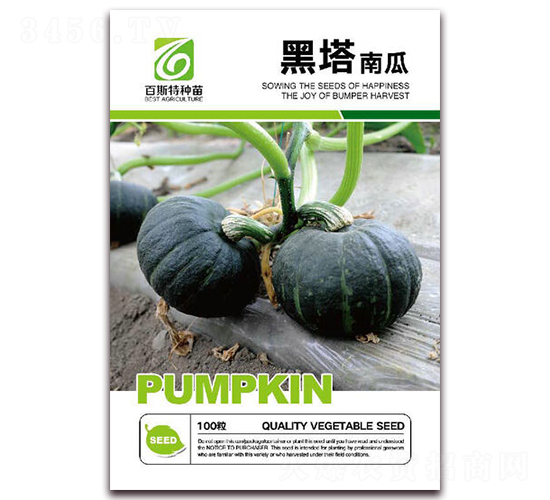 黑塔-南瓜種子-百斯特