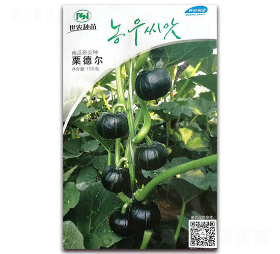 栗德爾-南瓜種子-百斯特