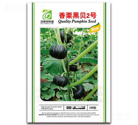 香栗黑貝2號-南瓜種子-百斯特