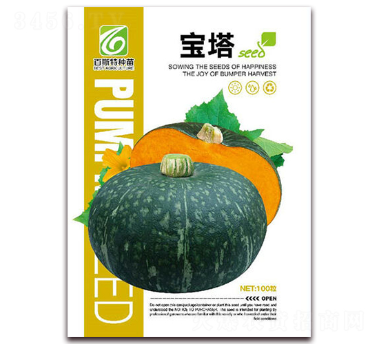 寶塔-南瓜種子-百斯特
