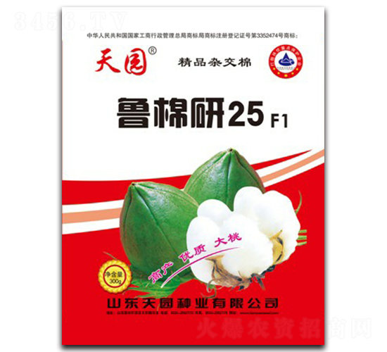 魯棉研25號(hào)-棉花種子-天園種業(yè)