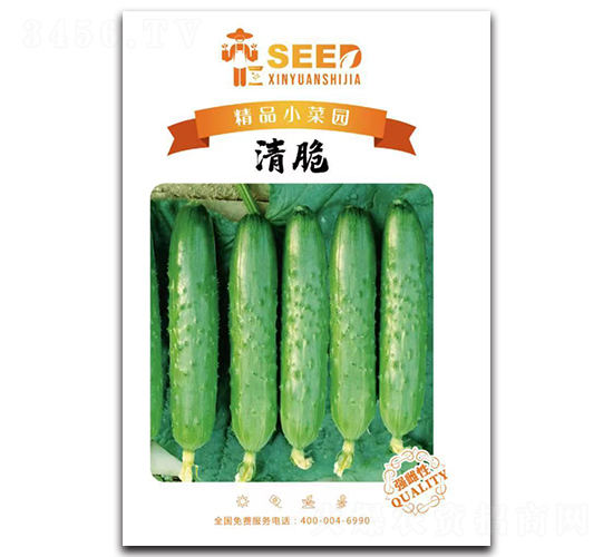 清脆-黃瓜種子-鑫園世家